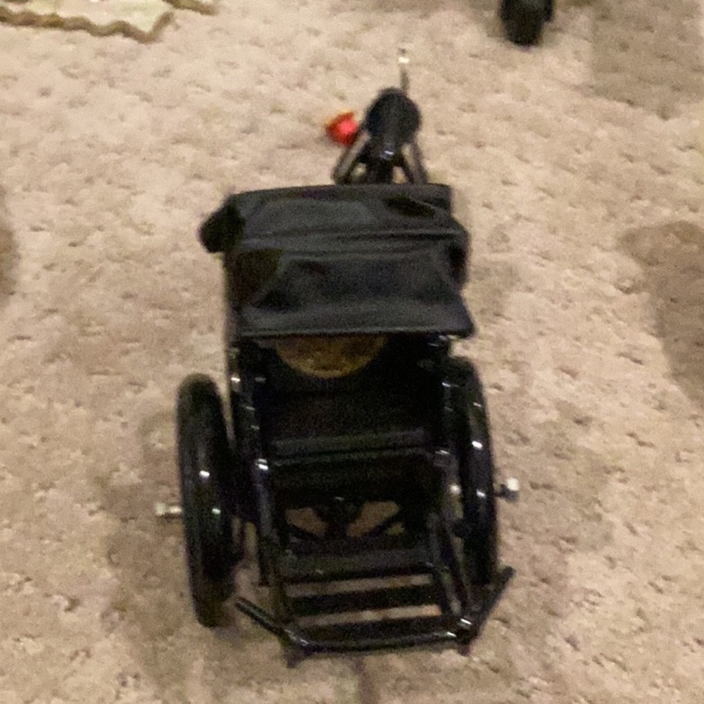 Black Vintage Style Art Piece